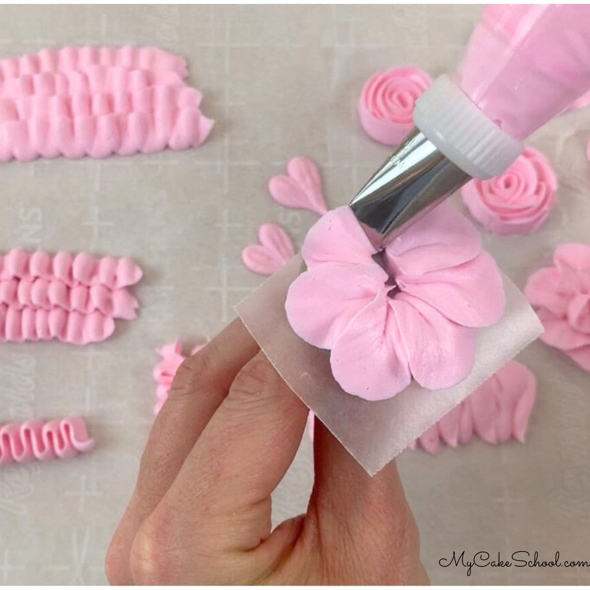 Petal piping tip best sale