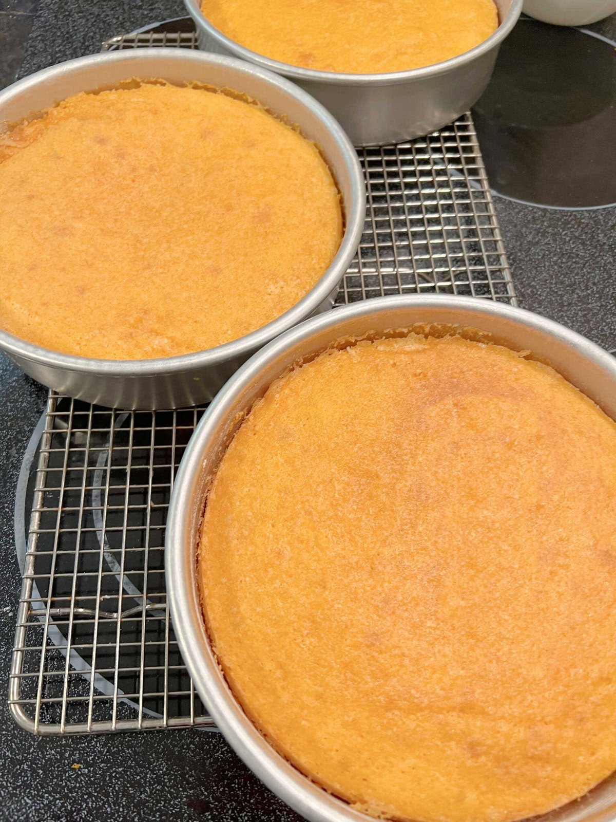 Orange Vanilla Bean Cake layers, freshly baked.