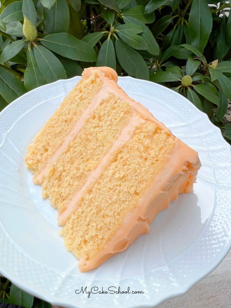 Orange Vanilla Bean Cake My Cake School 7092