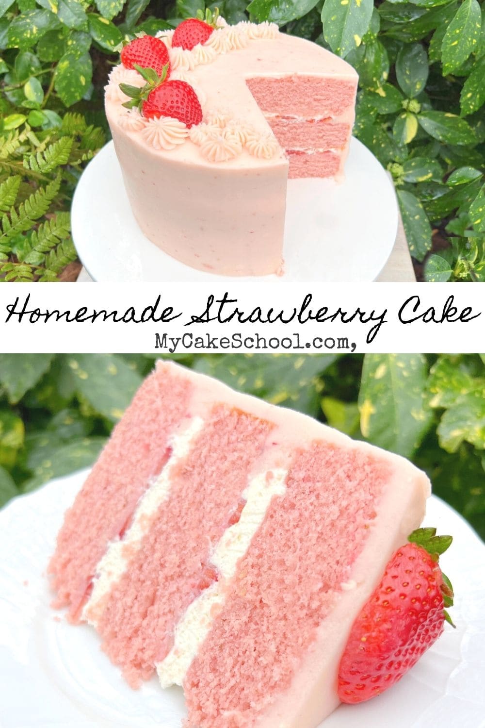 Homemade Strawberry Cake - My Cake School