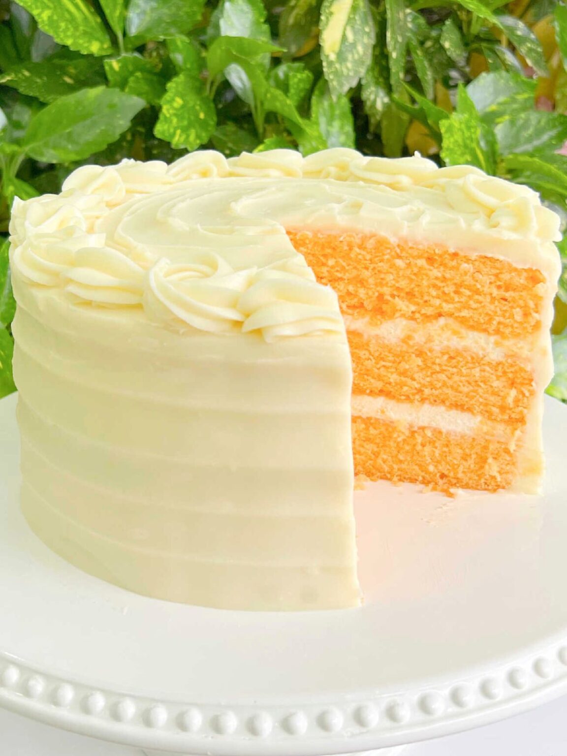 orange-cake-my-cake-school