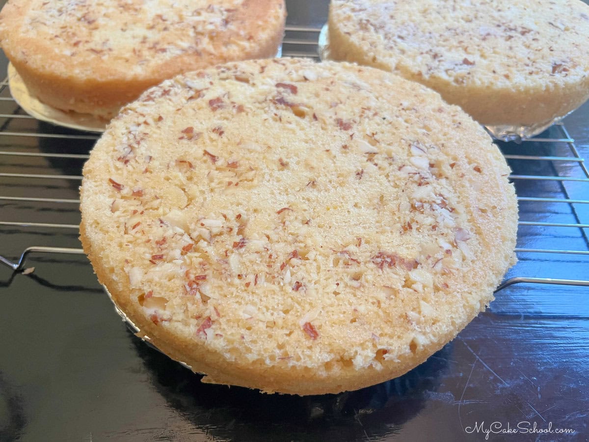 Freshly baked Maple Almond Cake Layers.