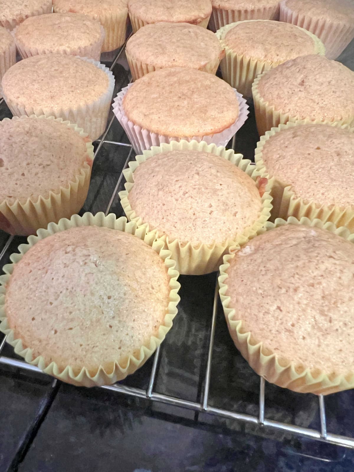 Freshly Baked Spice Cupcakes, cooling on a wire rack.