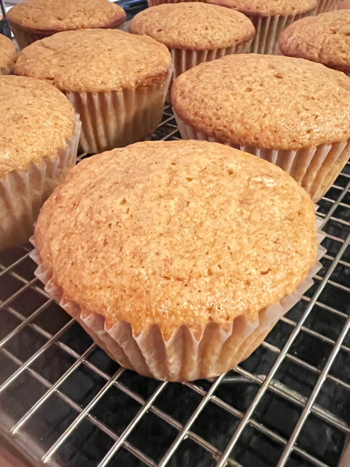 Gingerbread cupcakes, cooling on wire rack.