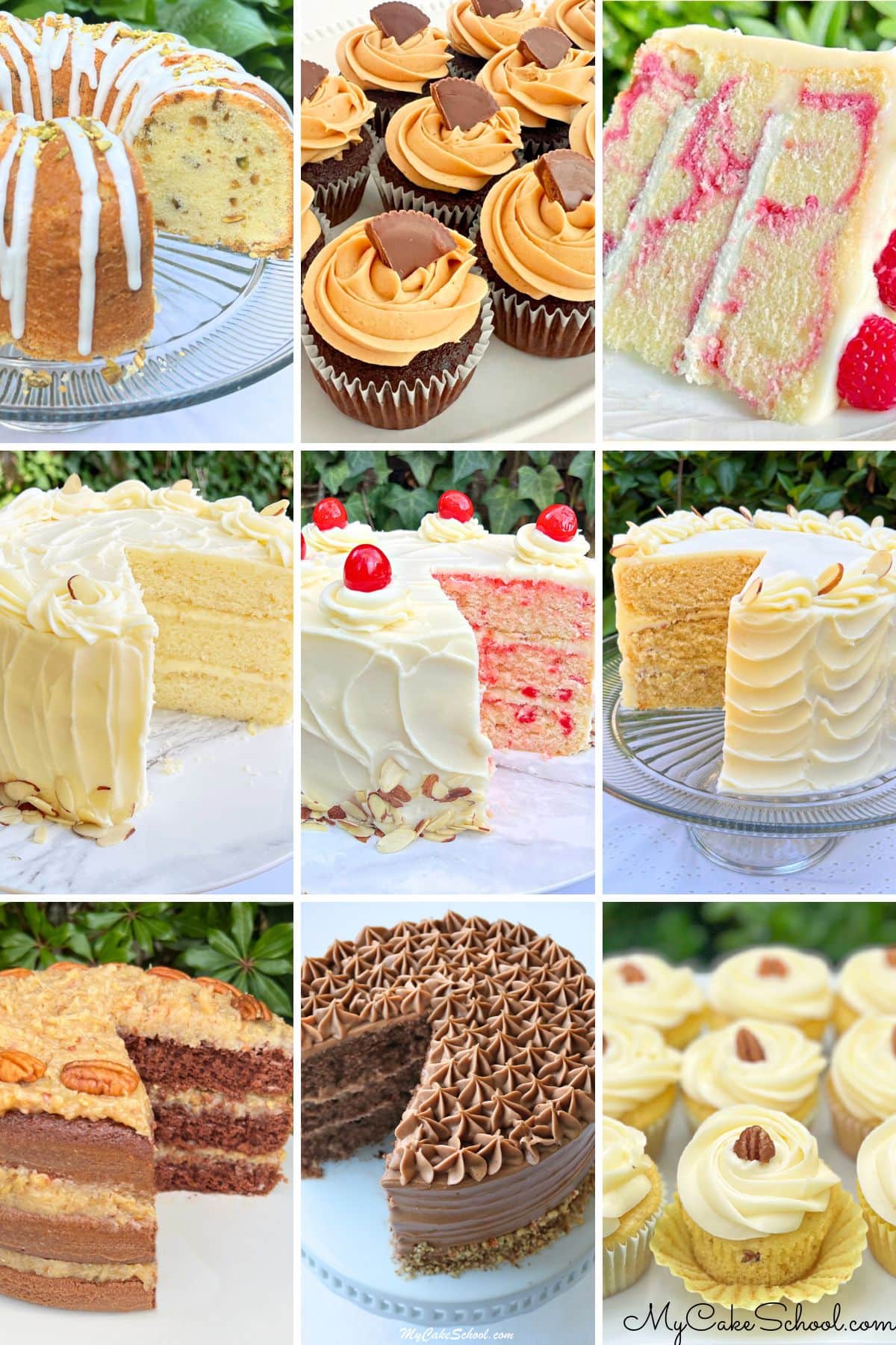 Photo grid of nutty cake recipes.