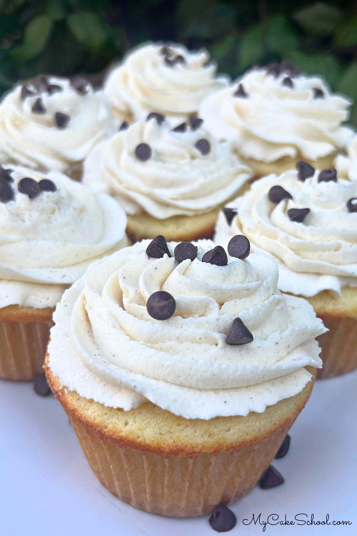 Cannoli Cupcakes on a platter, topped with mini chocolate chips.